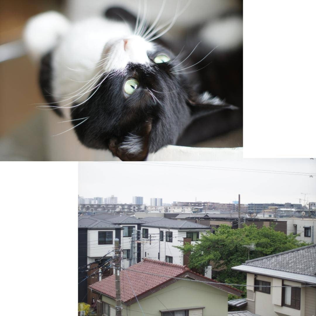 Nikon Ai-s Nikkor 50mm f1.2 - Filem.sg