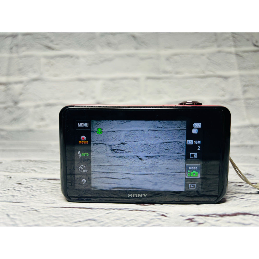 Sony Cyber-shot WX-30 (Pink) - Filem.sg
