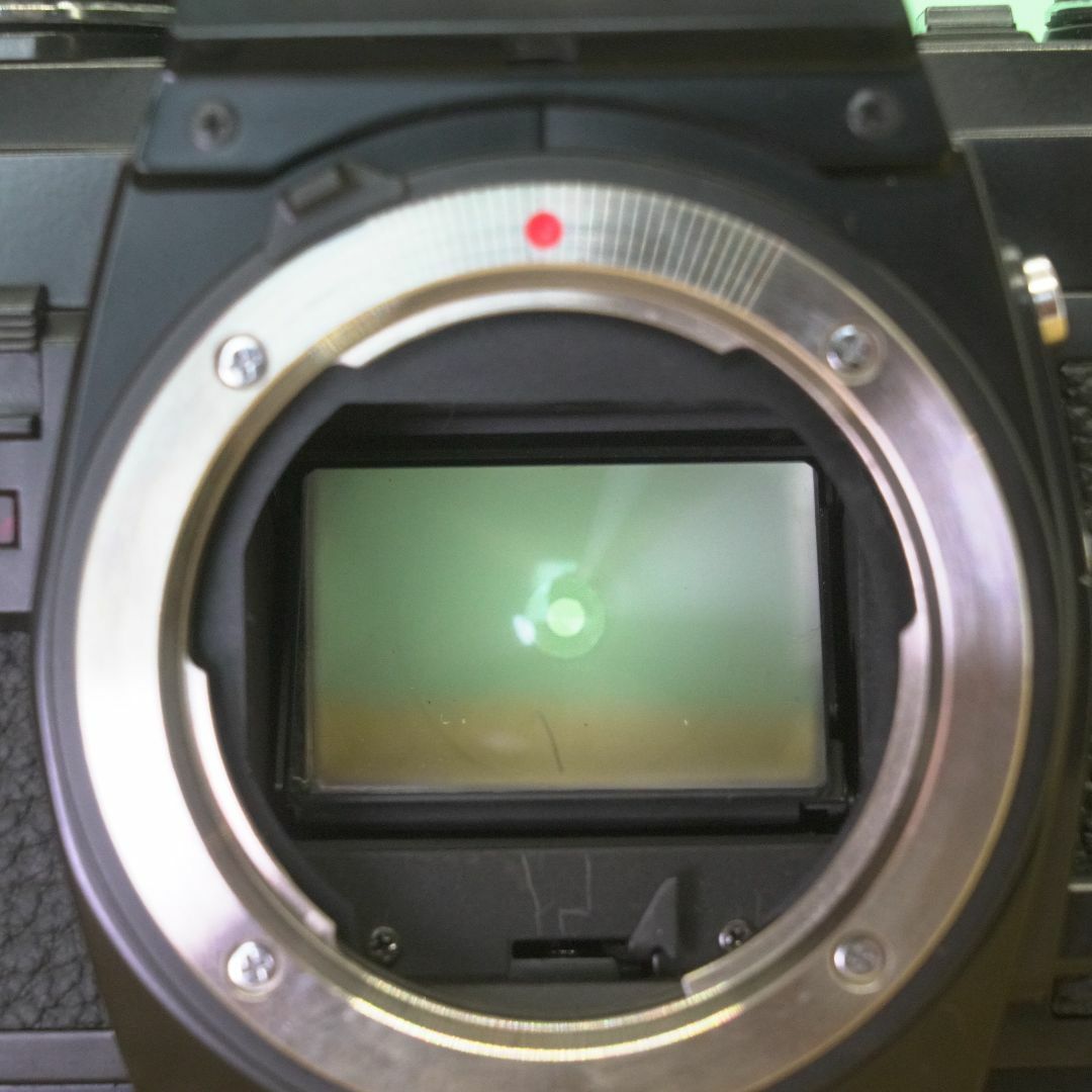 Minolta X-500 - Filem.sg