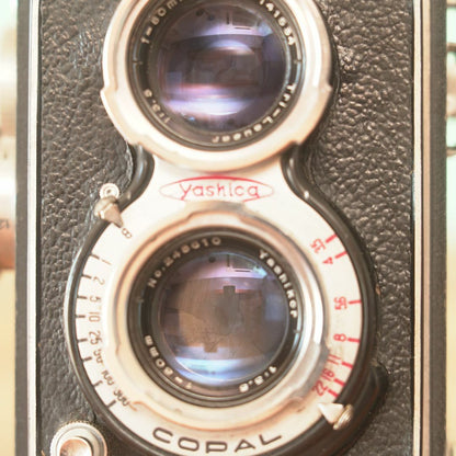 Yashicaflex C - Filem.sg