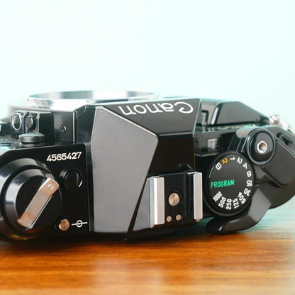 Canon AE-1 Program (Black) - Filem.sg