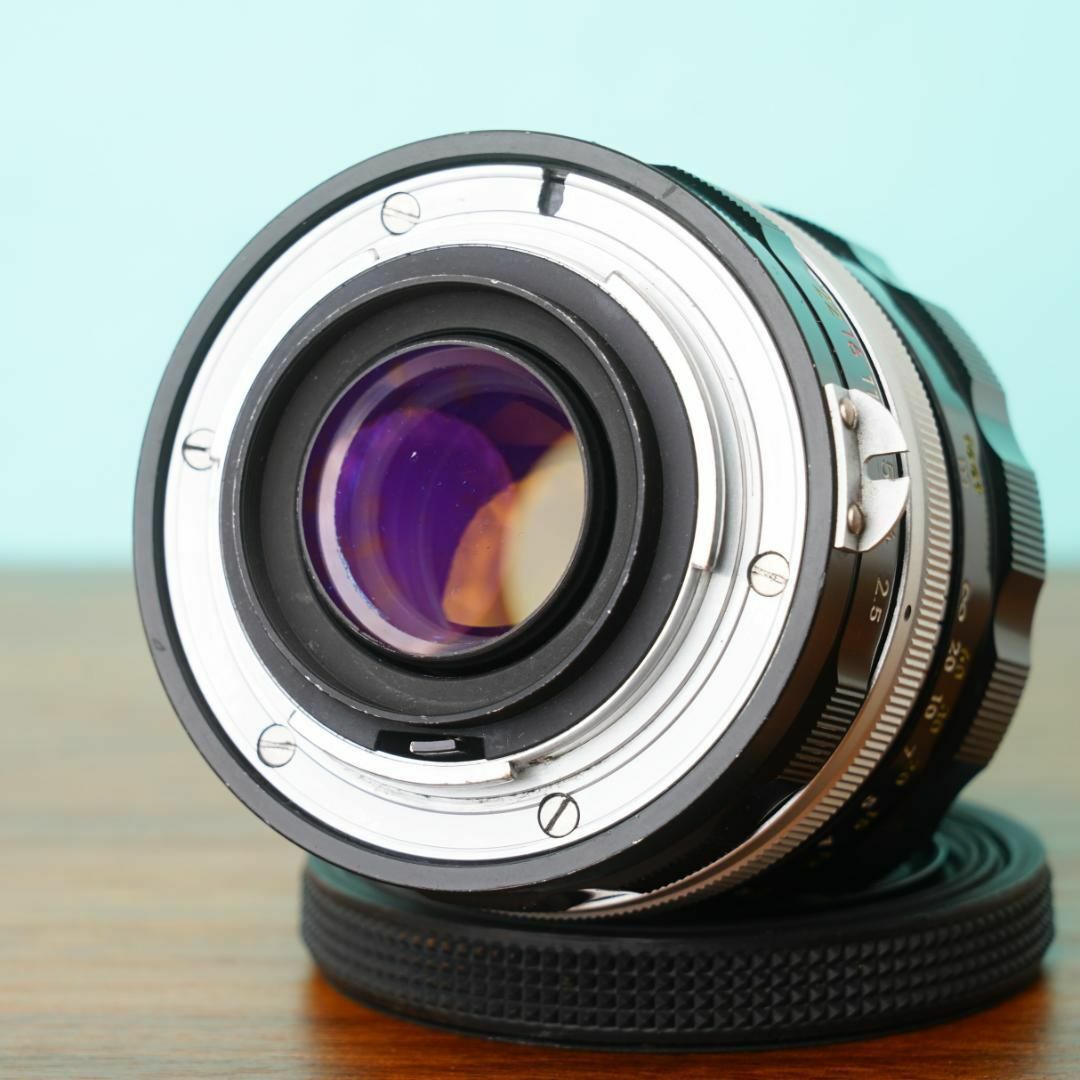 Nikon NIKKOR-P 105mm f2.5 - Filem.sg