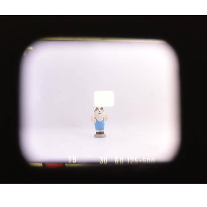 Olympus 35 DC late type - Filem.sg