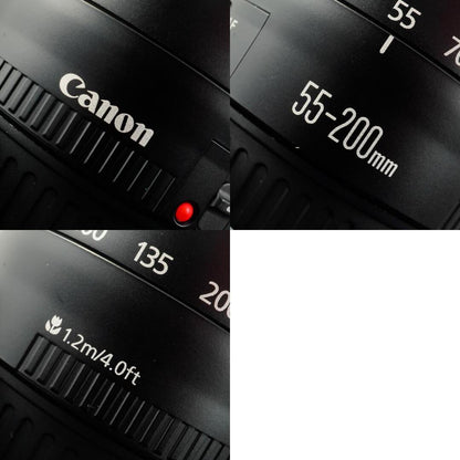 Canon EF 55-200mm f4.5-5.6 II USM - Filem.sg