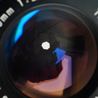 Nikon Ai-S Series E 100mm f2.8 - Filem.sg