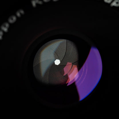 Nikon Ai Micro-NIKKOR-P Auto 55mm f3.5 Macro - Filem.sg