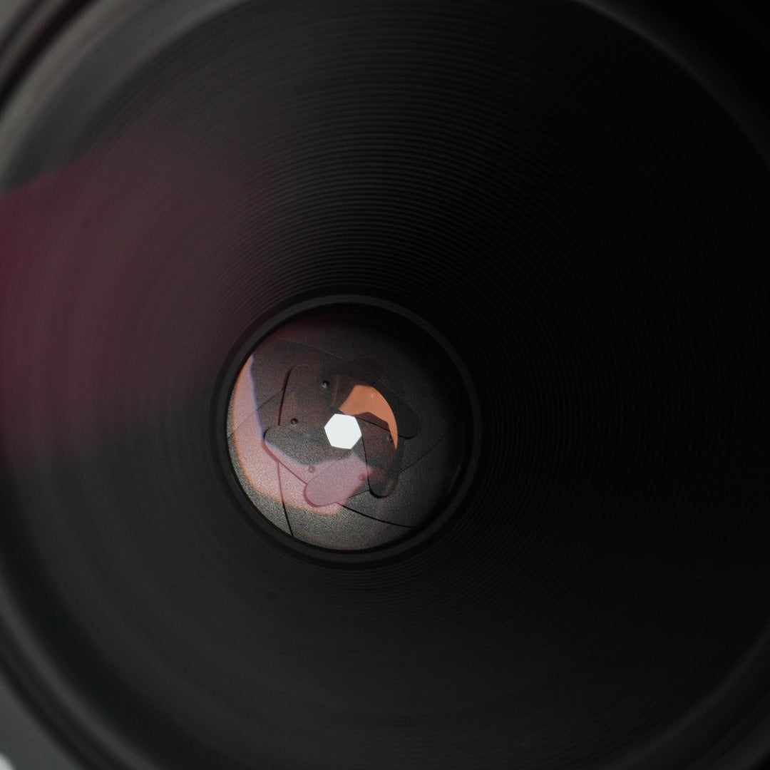 Canon FL 50mm f3.5 Macro - Filem.sg