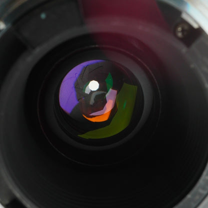 Nikon AF Nikkor 70-300mm f4-5.6 D ED - Filem.sg