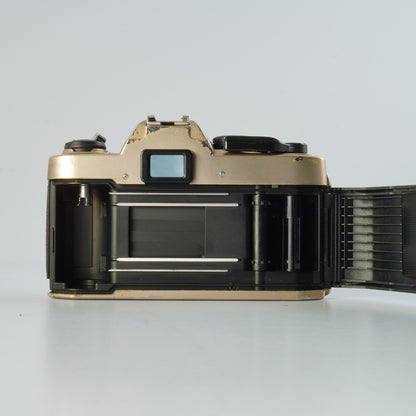 Nikon FM10 - Filem.sg