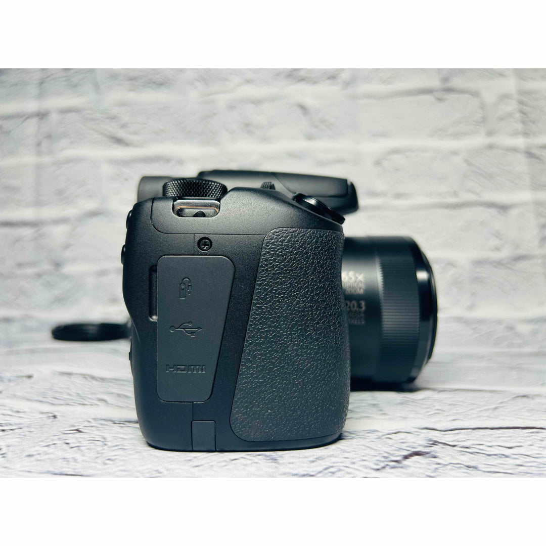 Canon PowerShot SX70 HS - Filem.sg