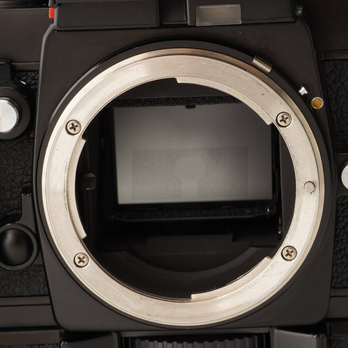 Nikon F3P (F3 HP Press) with MD-4 motor drive - Filem.sg