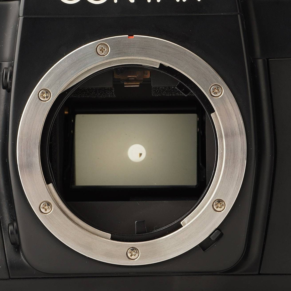 Contax RX - Filem.sg