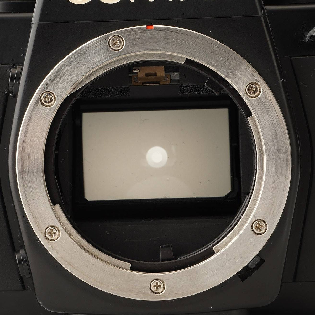 Contax Aria - Filem.sg