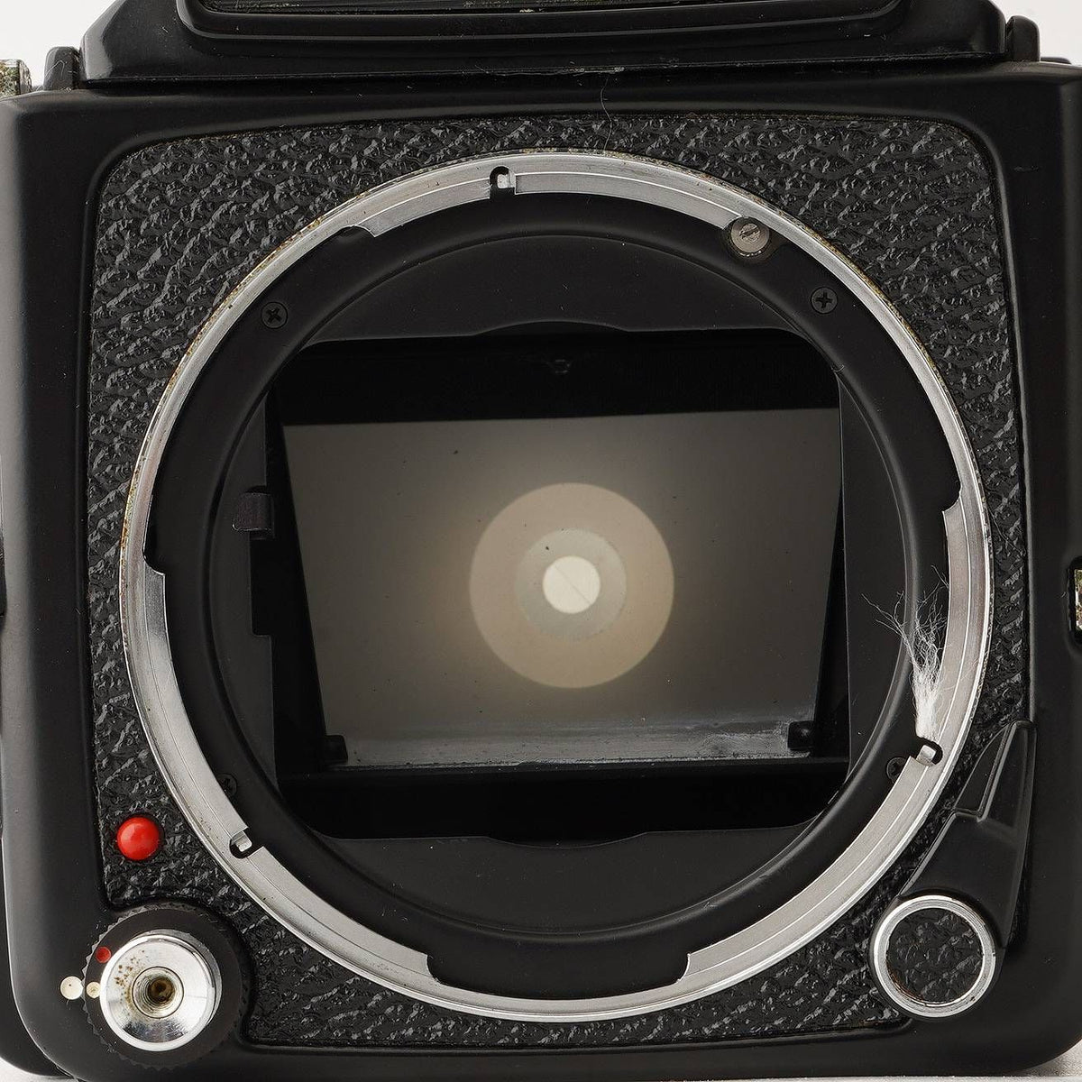 Mamiya M645 1000S - Filem.sg