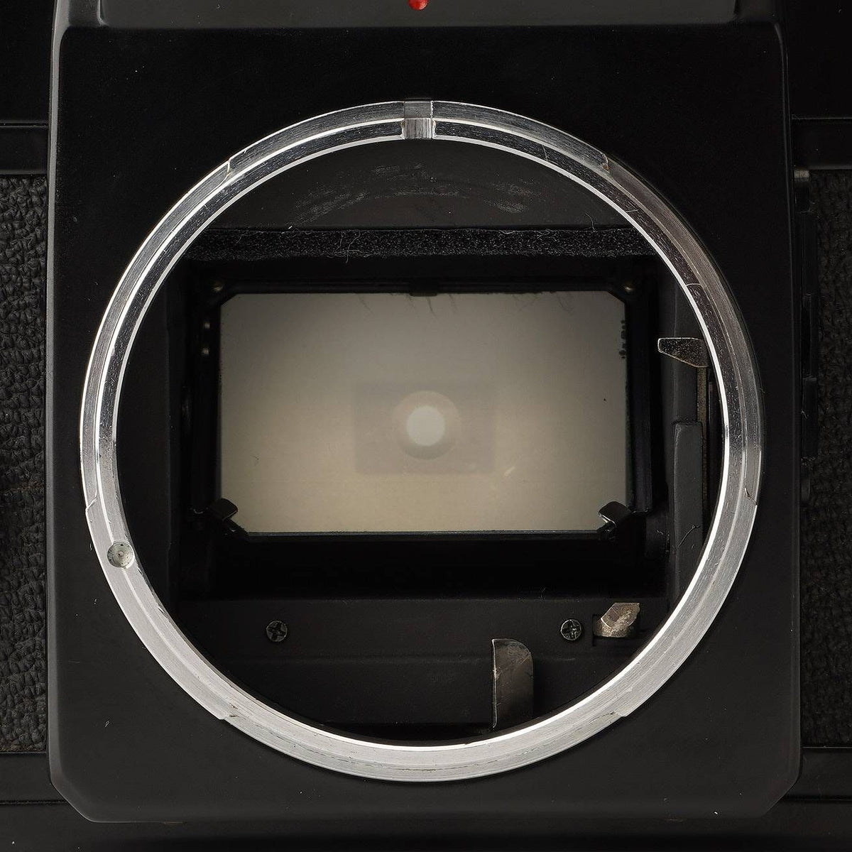 Canon F-1 early type - Filem.sg