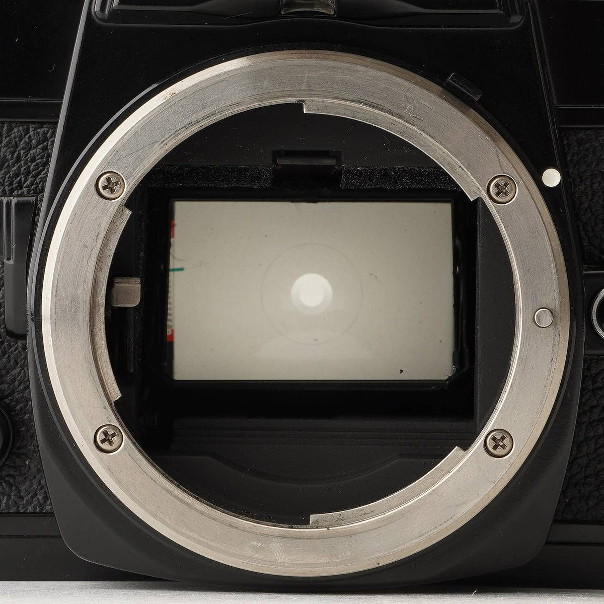 Nikon FE2 (Black) - Filem.sg
