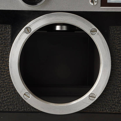 Canon P - Filem.sg