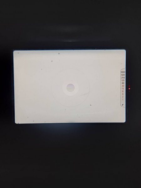 Nikon FG Silver