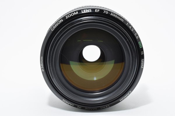Canon EF 70-300mm F4.5-5.6 DO IS USM