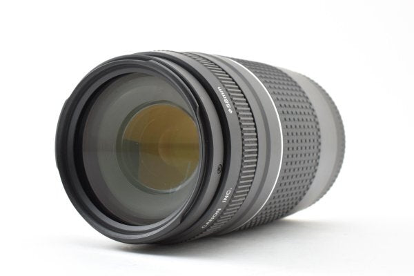 Canon EF 75-300mm f4-5.6 III USM - Filem.sg