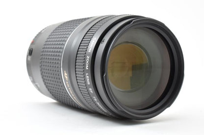 Canon EF 75-300mm f4-5.6 III USM - Filem.sg