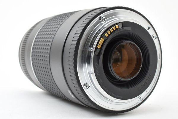Canon EF 75-300mm f4-5.6 III USM - Filem.sg