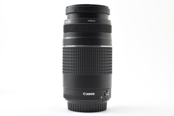 Canon EF 75-300mm f4-5.6 III USM - Filem.sg