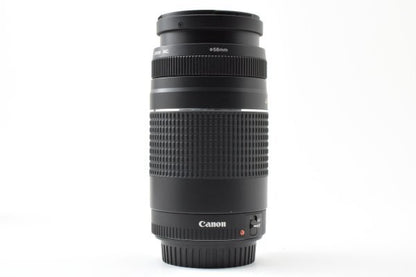 Canon EF 75-300mm f4-5.6 III USM - Filem.sg