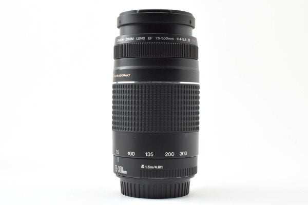 Canon EF 75-300mm f4-5.6 III USM - Filem.sg